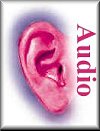 Audio File